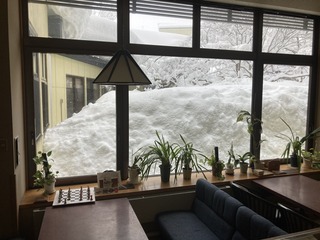 2025.02.21雪景色.jpg